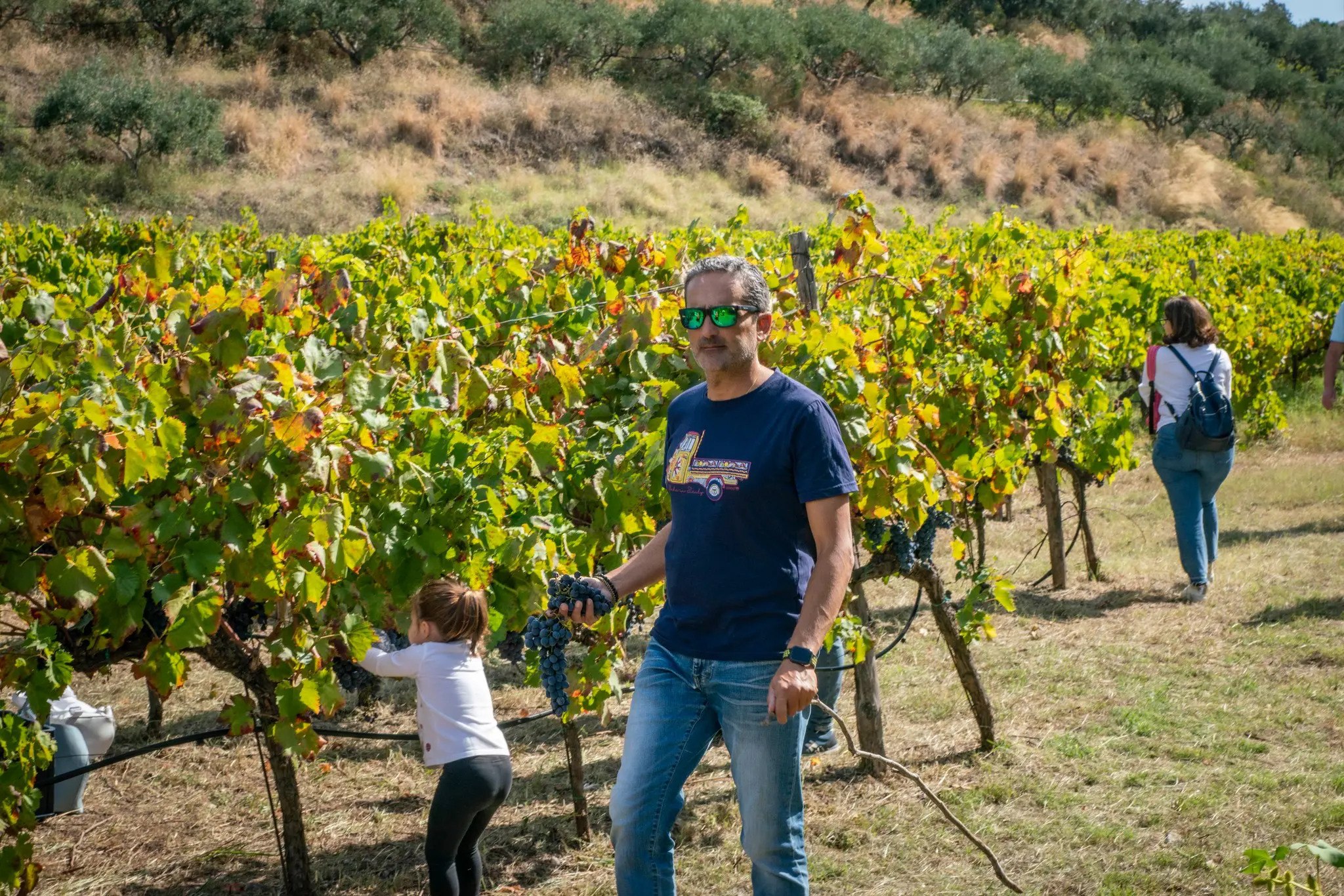 Michele Vasari in the Vasari wineyard