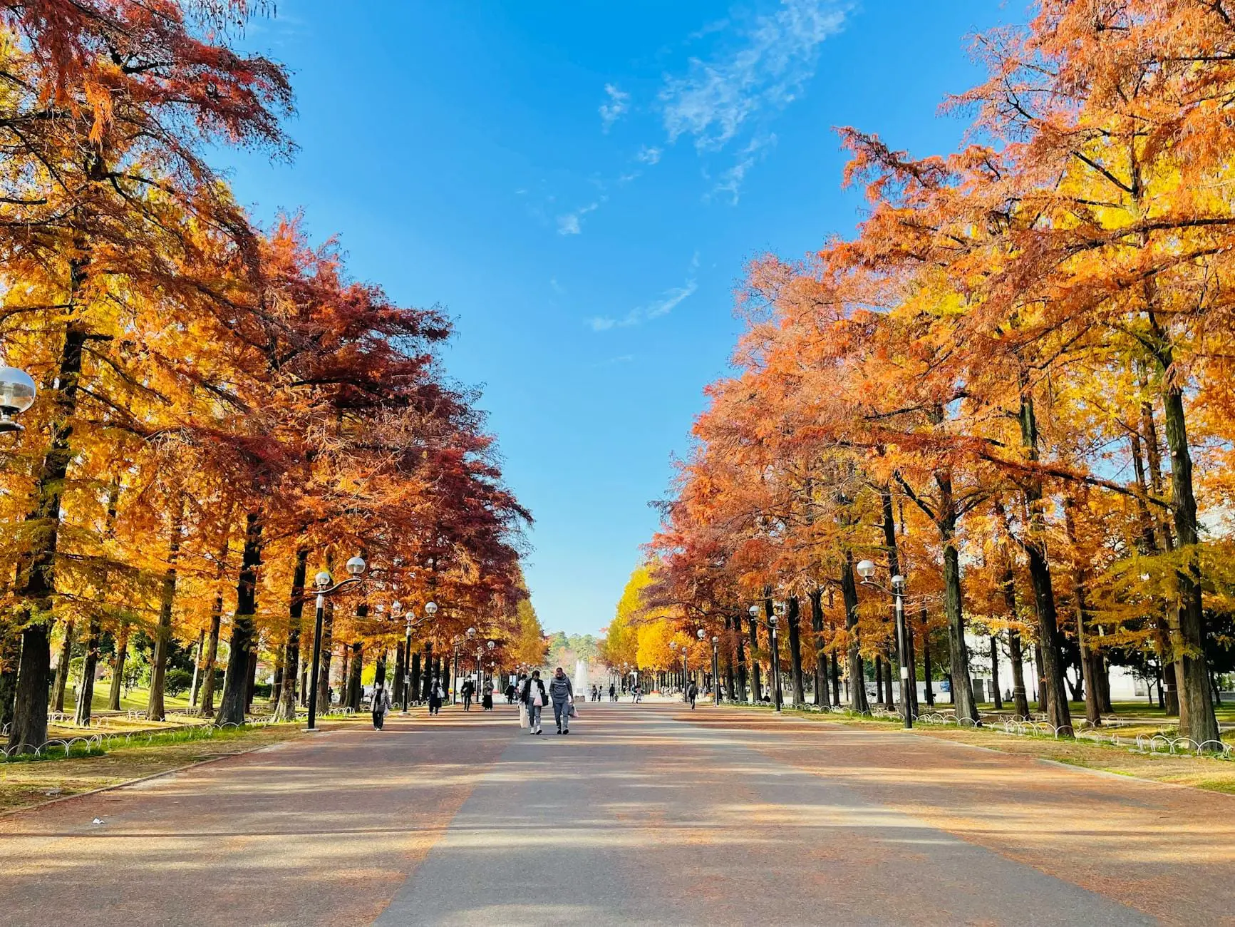 view of an alley between colorful autumnal trees