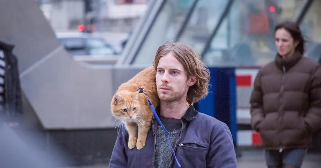 adopt a pet like James and his cat Bob
