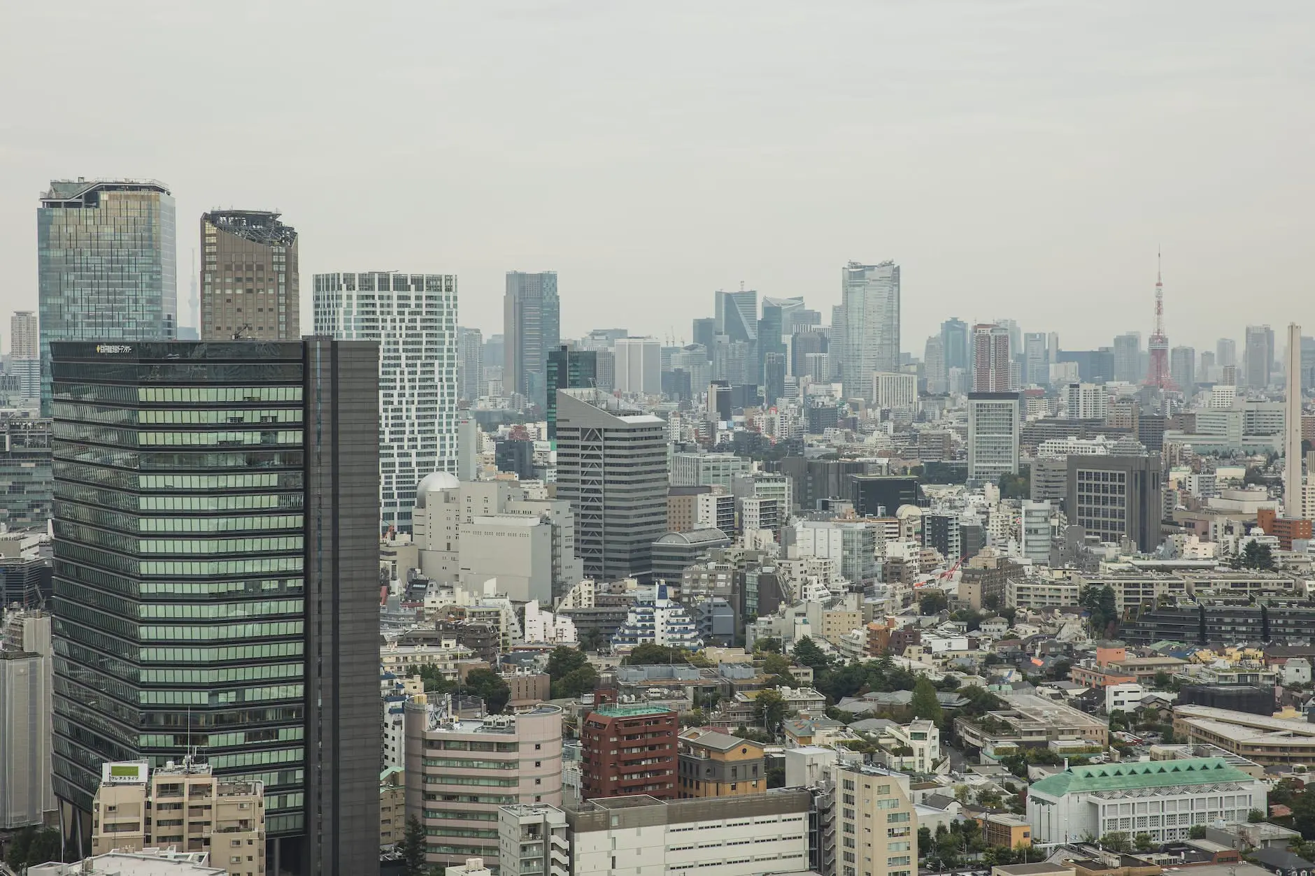 cityscape of modern megapolis with skyscrapers