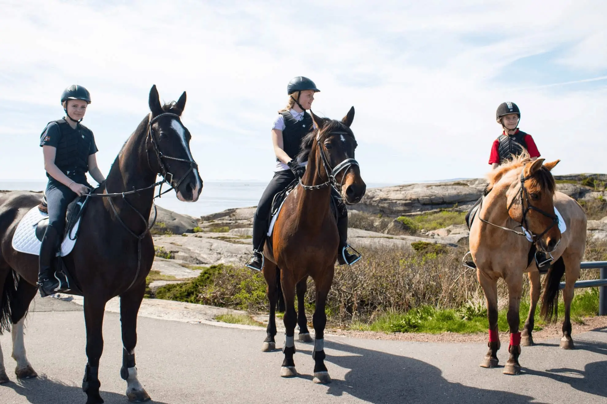 Experience Verdens Ende and Færder National Park with horse riding.

