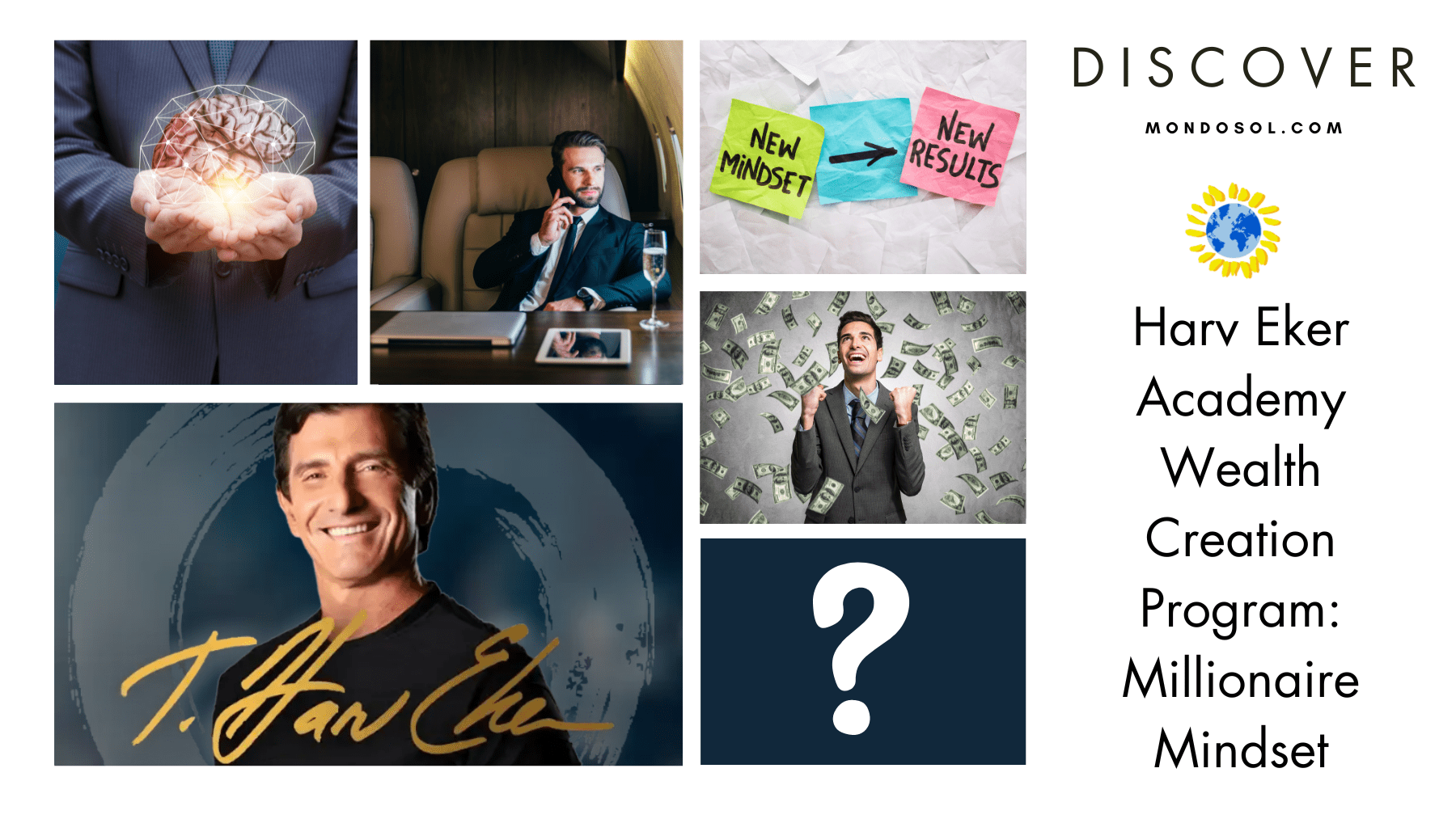 Harv Eker Academy Wealth Creation Program: Millionaire Mindset