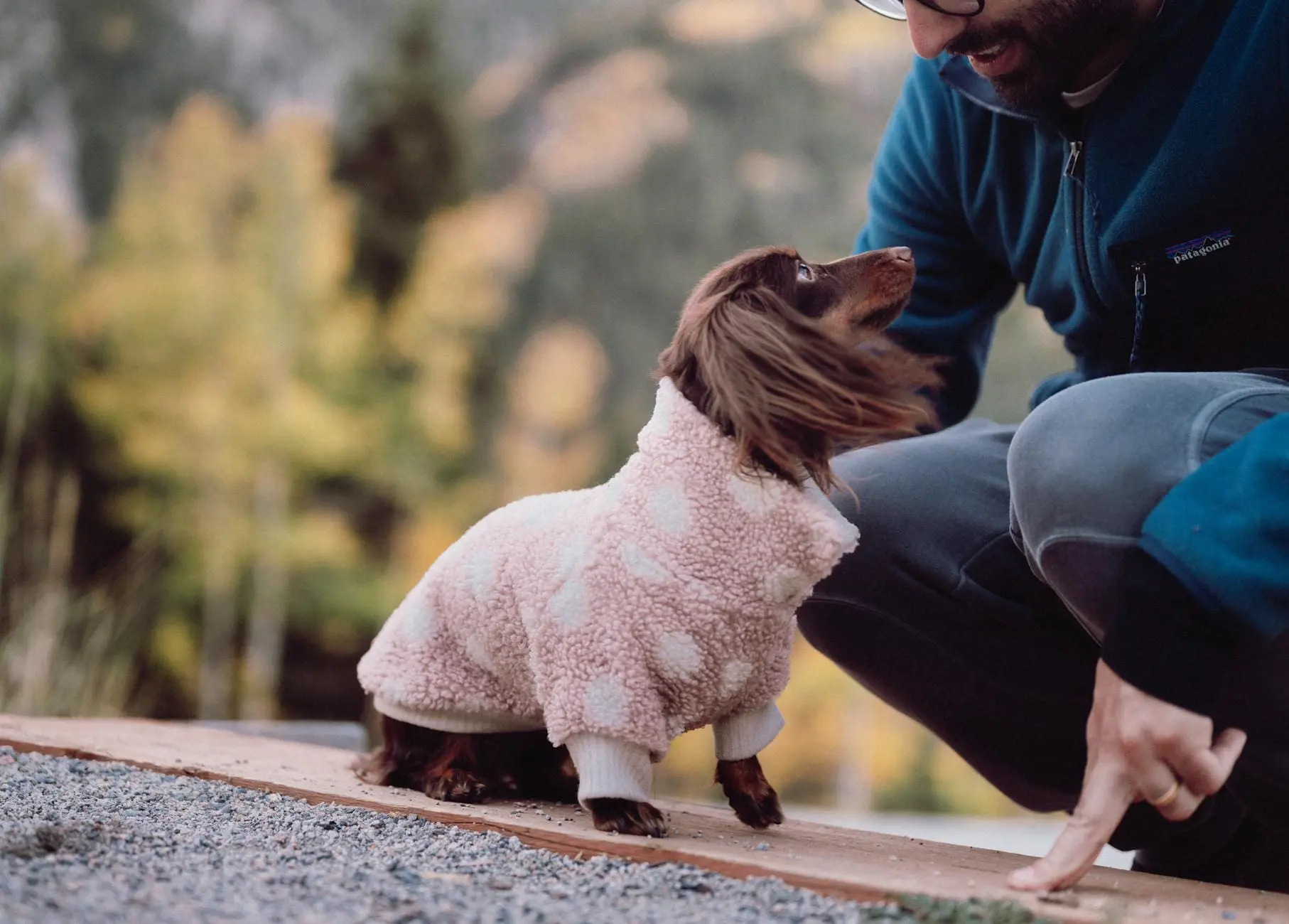 man and a dachshund dog wearing soft clothing