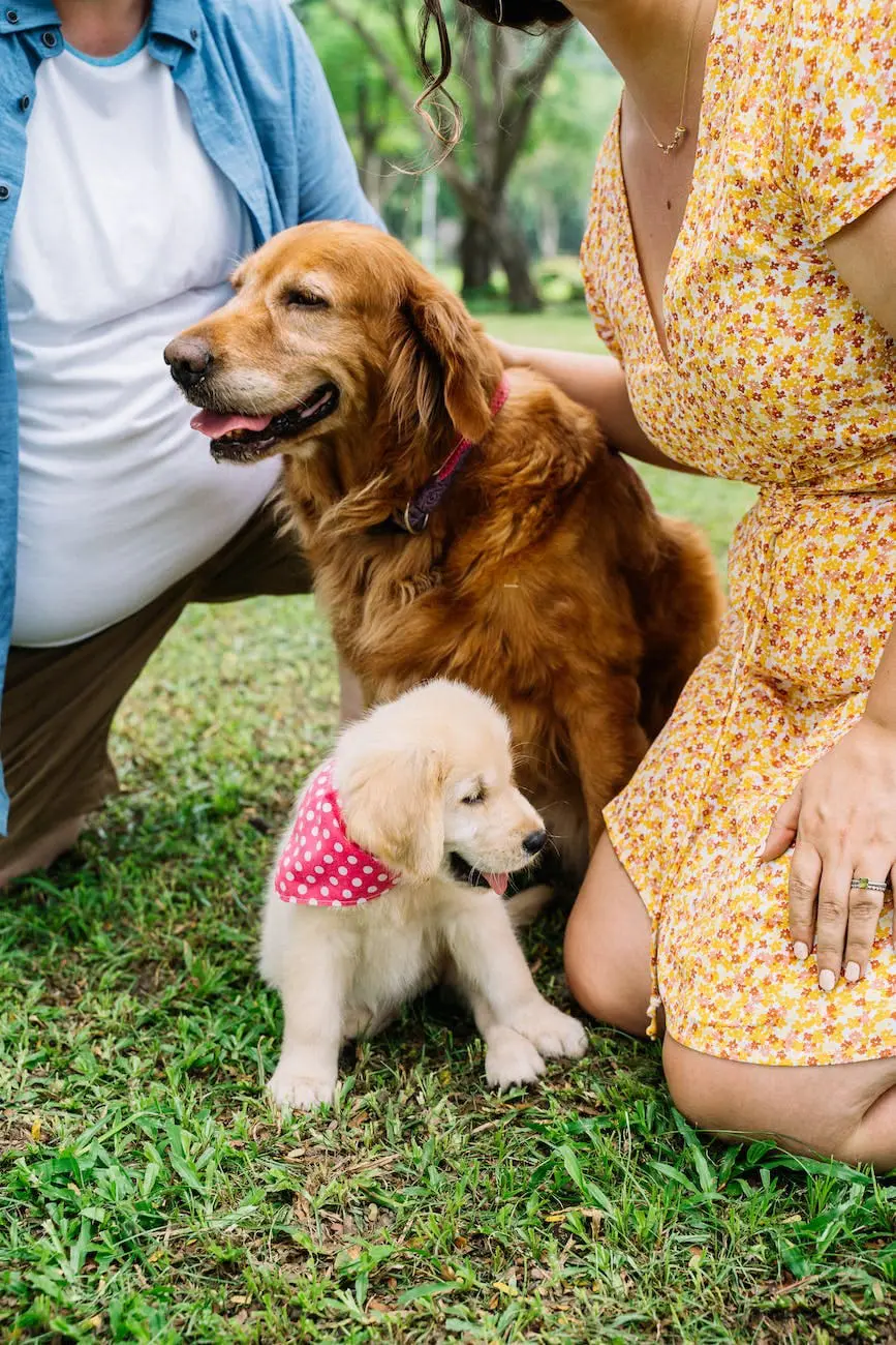 close up photo of people with their dogs