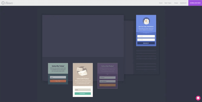 11. Bloom Email Opt-Ins WordPress Plugin popup
