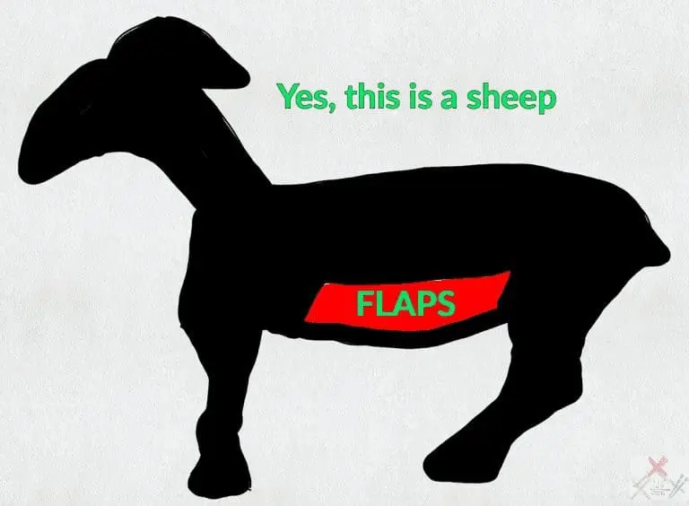 Slow cooked lamb bones