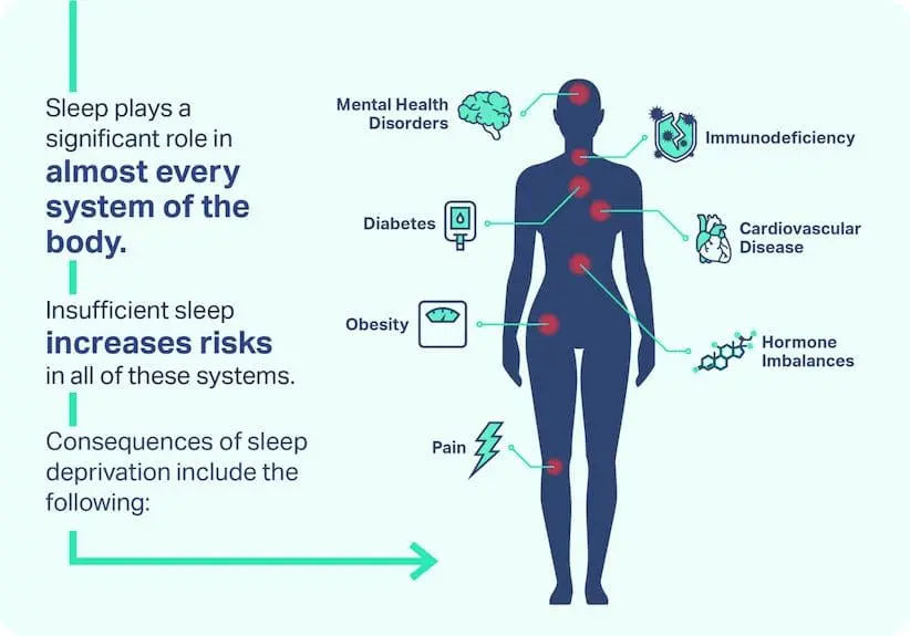 Sleep deprivation has negative effects in multiple ways throughout your body. Those can affect the following body systems, organs and processes: