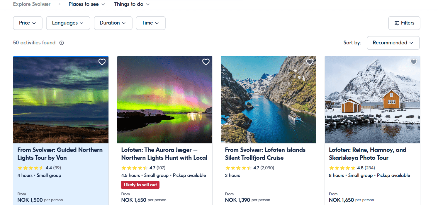 Northern Lights Festival: A Dance of Lights