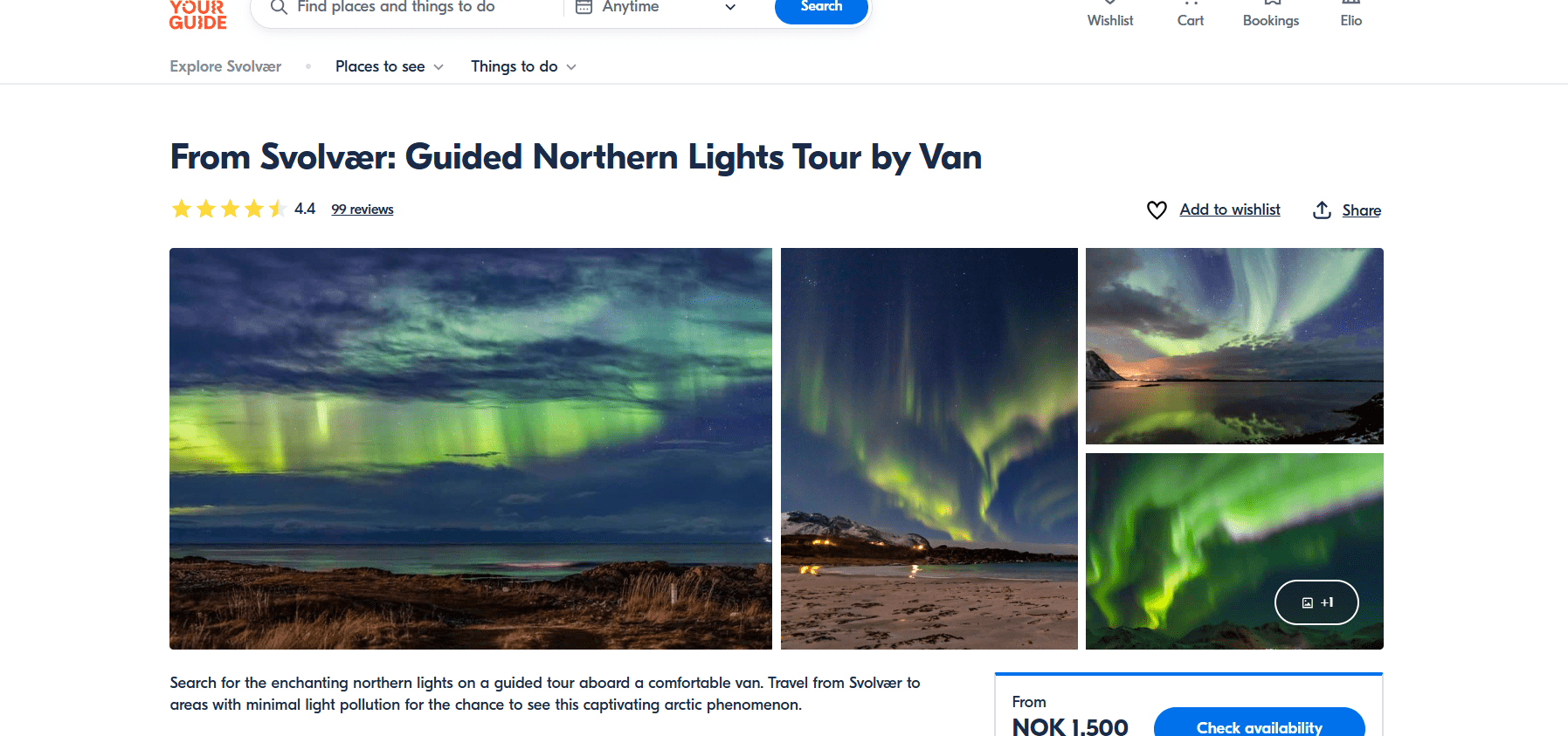 From Svolvær: Guided Northern Lights Tour by Van