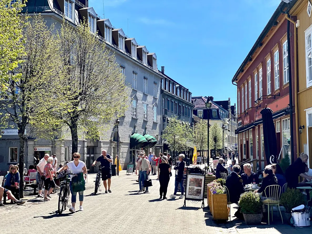 Neighborhoods in Hønefoss: Where to Live in City Center (Sentrum)