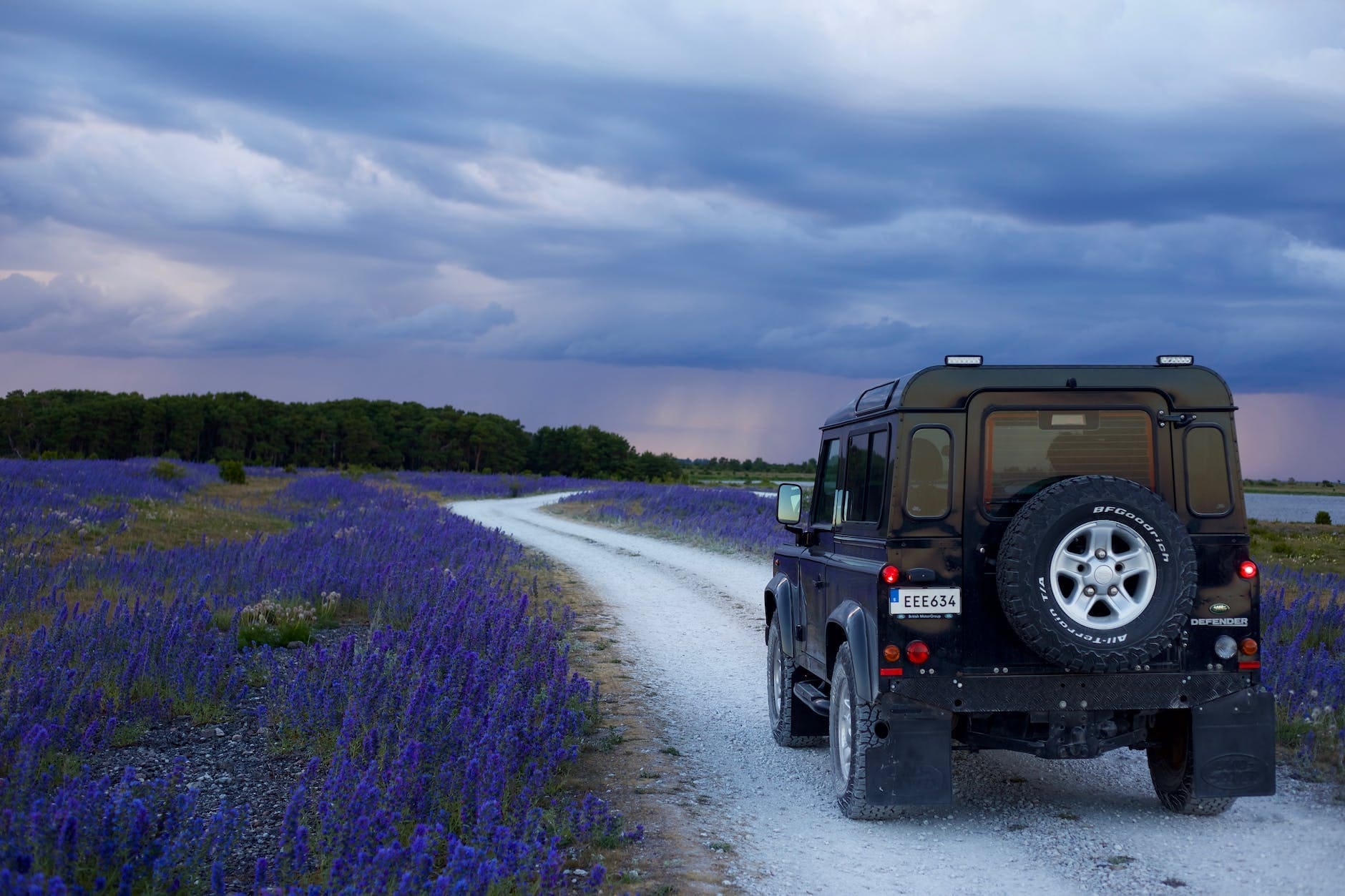 black suv in between purple flower fields car journey in Oslo Norway rental car guide