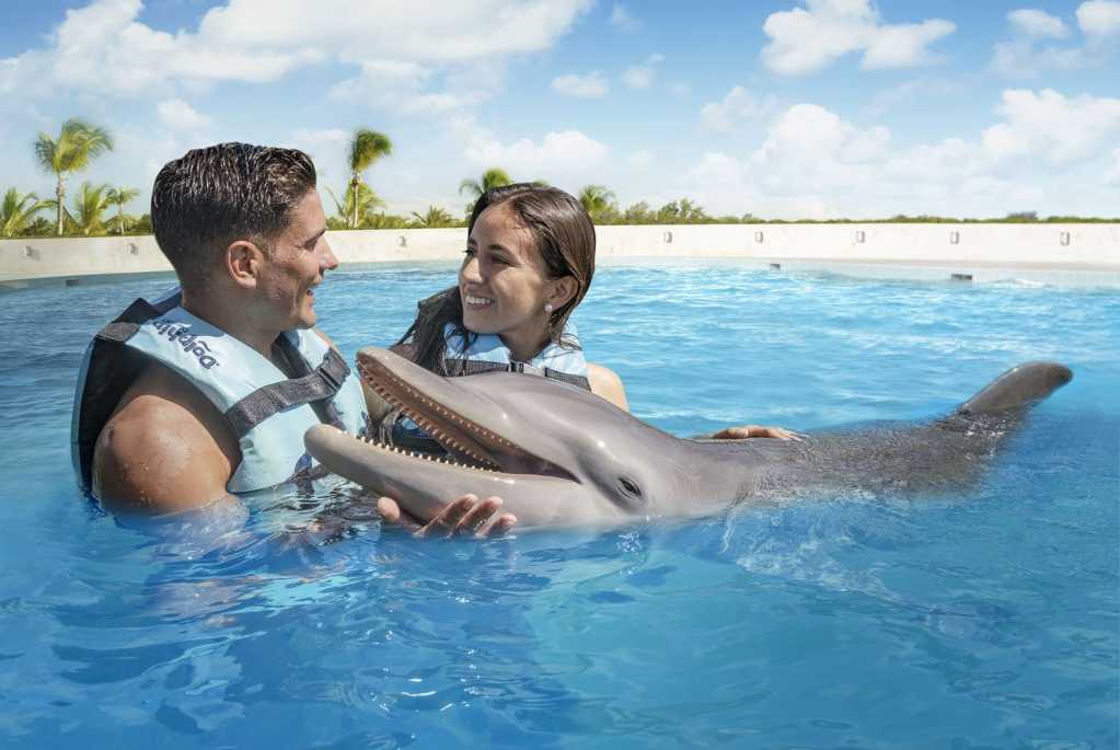 Animal interactions at yaaman adventure park