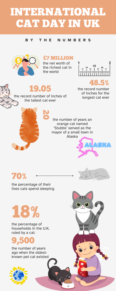 INTERNATIONAL CAT DAY BY THE NUMBERS IN UK