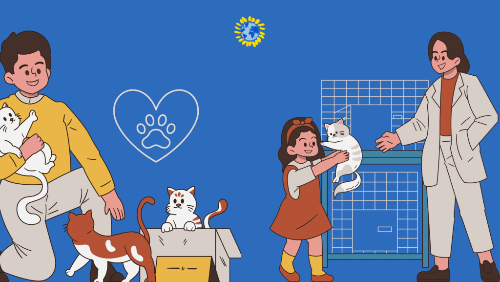 Volunteer at a Cat Shelter to Celebrate International Cat Day