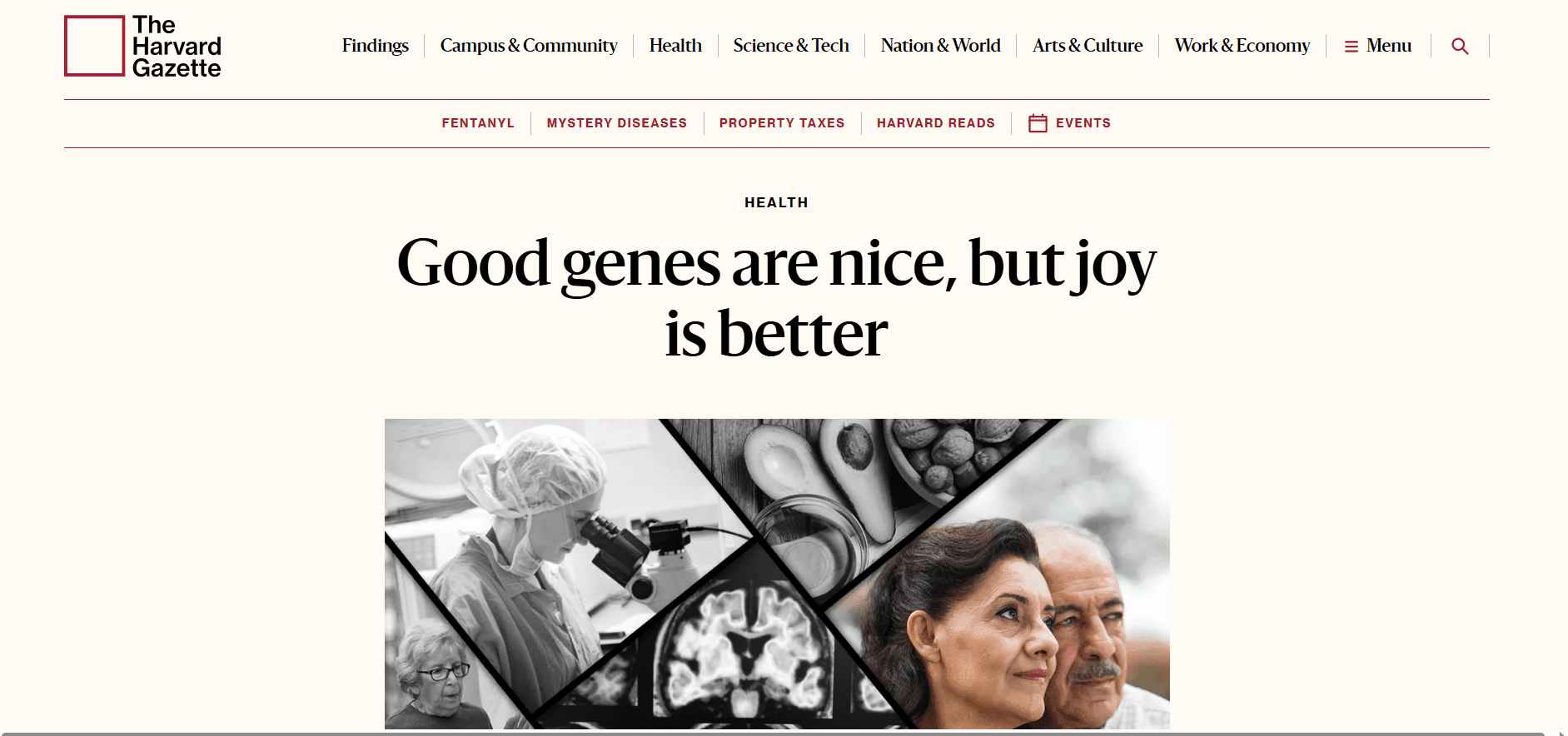 Research from Harvard Medical School shows that positive practices can significantly boost our happiness levels.